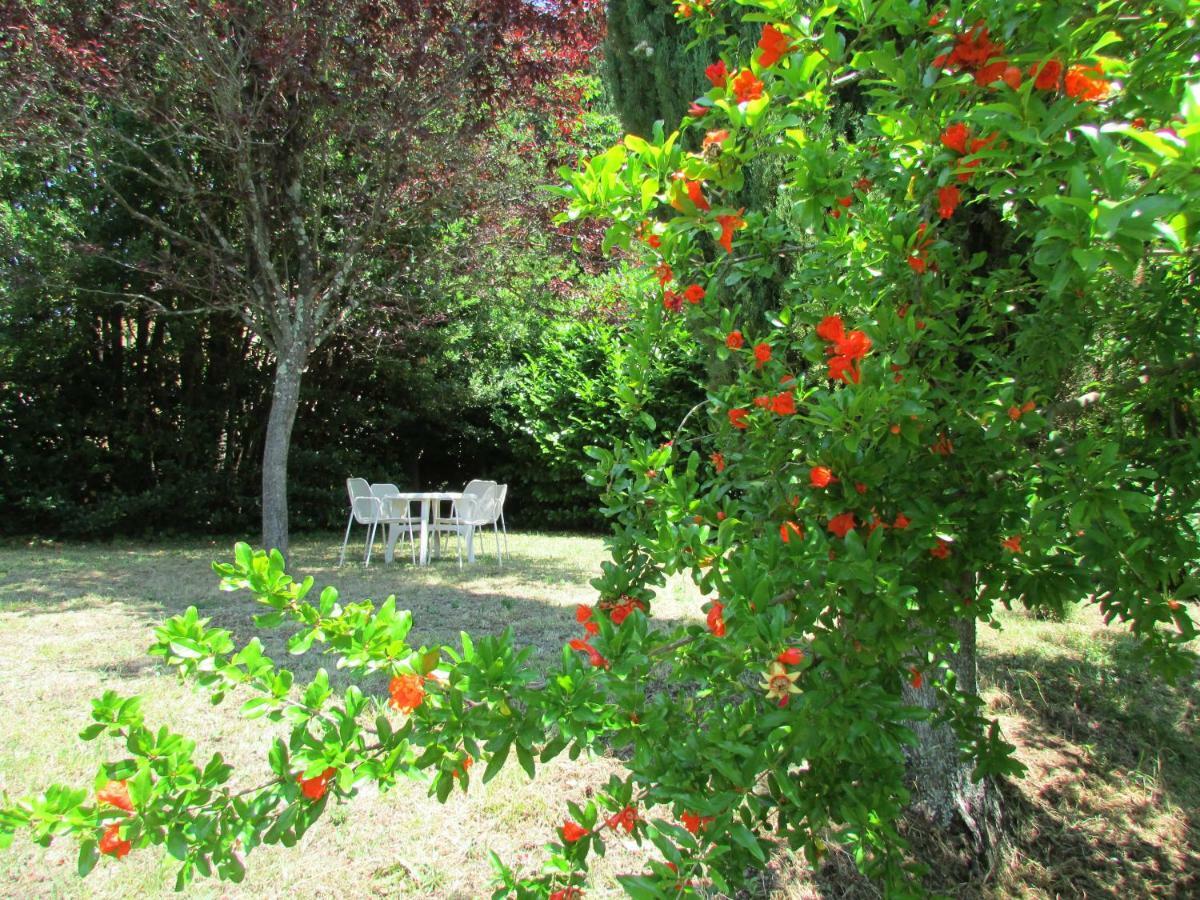 Agriturismo Dea Valfabbrica Exterior photo